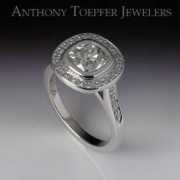 anthonytoepfer.com Kmbrly