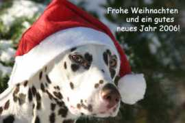 dalmi-online.de Kmeth