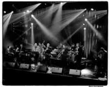 jazzinbelgium.com Knaepen