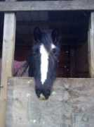 malinriding.com Knikki