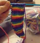 Knit