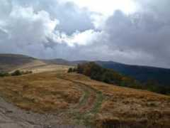 freebiking.org Kobila