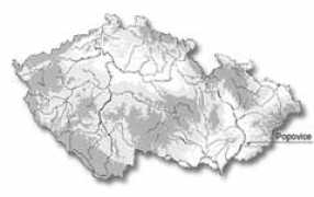 Kocir