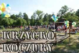 Koczur
