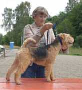 Kofil