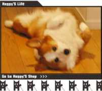 Koggy