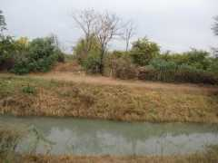 Kohat