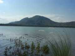 Kohat
