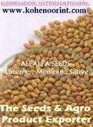 allproducts.com Kohenoor