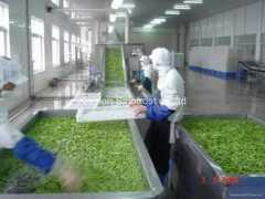 xmsinofrost.com Kohser