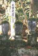 Koiku