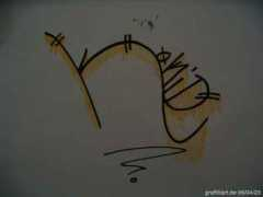Kokid