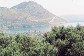 Kokkala