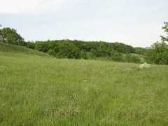 Kolba