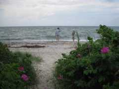 sisterbonde.dk Koldt