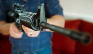 entornointeligente.com Koletas