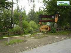 Kolibab