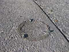 primorske.si Kolicki