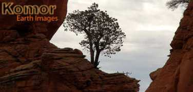 komorearthimages.com Komor
