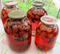 Kompot