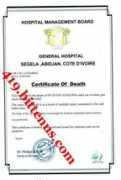419.bittenus.com Koneh