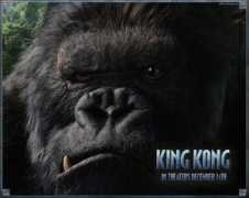 Kong