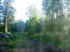 fullplasticjacket4.leka-airsoft.fi Kongit