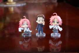 mis.janis.or.jp Konota