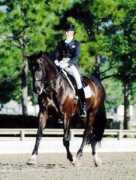 floridahorse.com Konyot