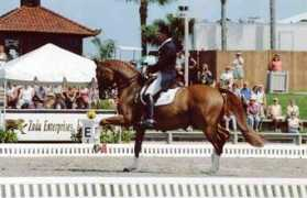 floridahorse.com Konyot