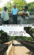 Koodu