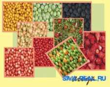 sims-real.ru Kooll