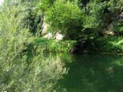 molnartibor.click.hu Korana
