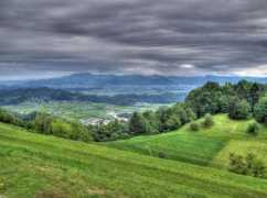 Koreno