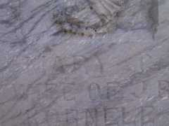 freepages.genealogy.rootsweb.ancestry.com Kornele