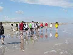 excursieameland.nl Korren