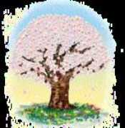 Koshimae