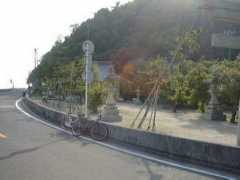 knp.sanyokure.com Kosuma