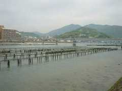 knp.sanyokure.com Kosuma