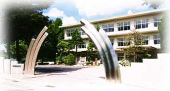 orgsites.com Kosya