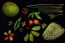 ngm.nationalgeographic.com Kotale