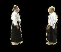 jiyushinkai.org Koteh