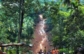thehindu.com Kothamangalam