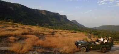 Kothi