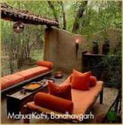 Kothi