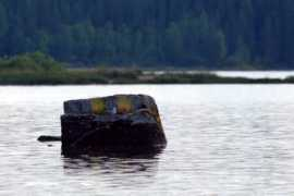 pjh.iki.fi Kotisaari