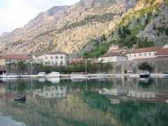 Kotor
