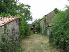 panoramio.com Kotten