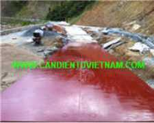 candientudongduong.com Kotum