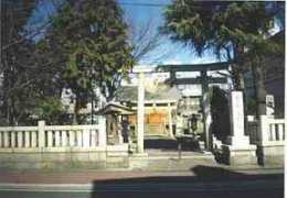 tnewfields.info Koujin